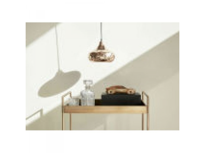 Модель автомобиля BMW Vision Next 100, Bronze, Scale 1:18, артикул 80432406146